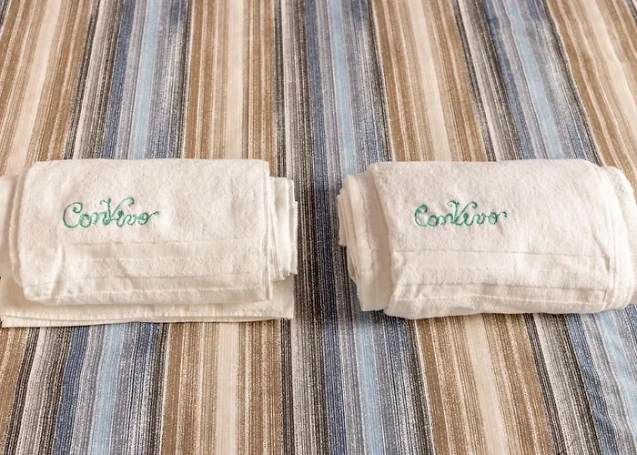 Convivo アパート *